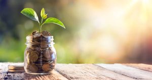 plant growing from savings jar